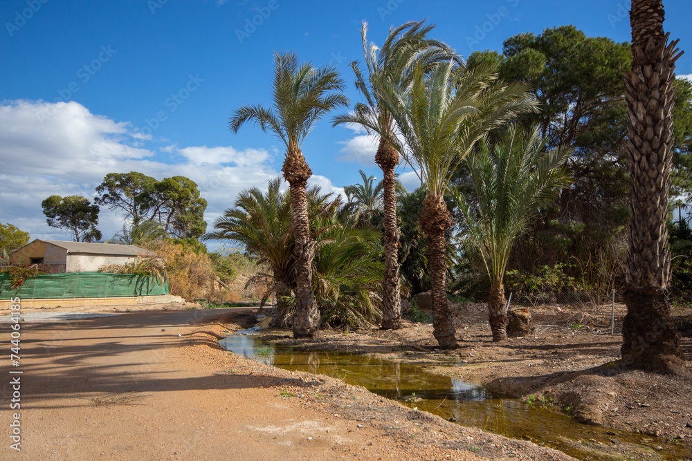 Vega Baja del Segura - Los Montesinos - Una visita al centro de Los Montesinos y a la zona de La Marquesa uno de los muchos senderos de este pueblo.