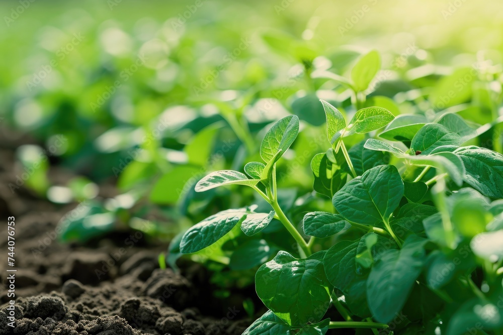 A detailed view capturing the growth of a green plant in nutrient-rich soil, Imagining the future of farming with biotechnology, AI Generated A detailed view capturing the growth of a green plant in nutrient-rich soil, Imagining the future of farming with biotechnology, AI Generated