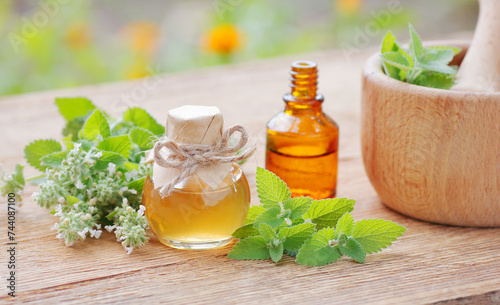 Canvas Print Lemon balm oil or extract  on wooden rustic table with fresh leaves and flowers