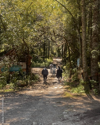 People walking in the woods © Paula