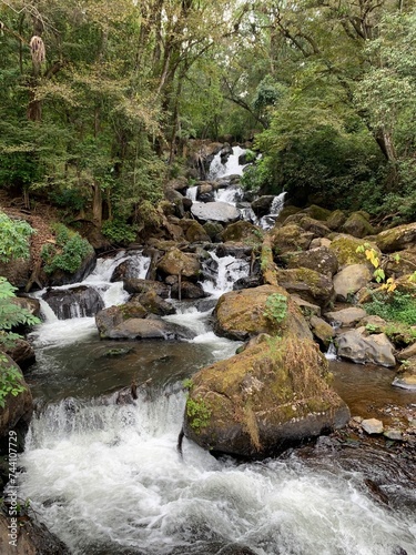 waterfall in the forest