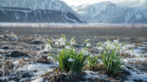 Fresh snowdrops emerge on a thawing field with patches of snow  against a backdrop of soft-hued mountains under a bright sky