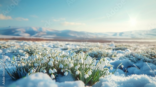 Fresh snowdrops emerge on a thawing field with patches of snow, against a backdrop of soft-hued mountains under a bright sky