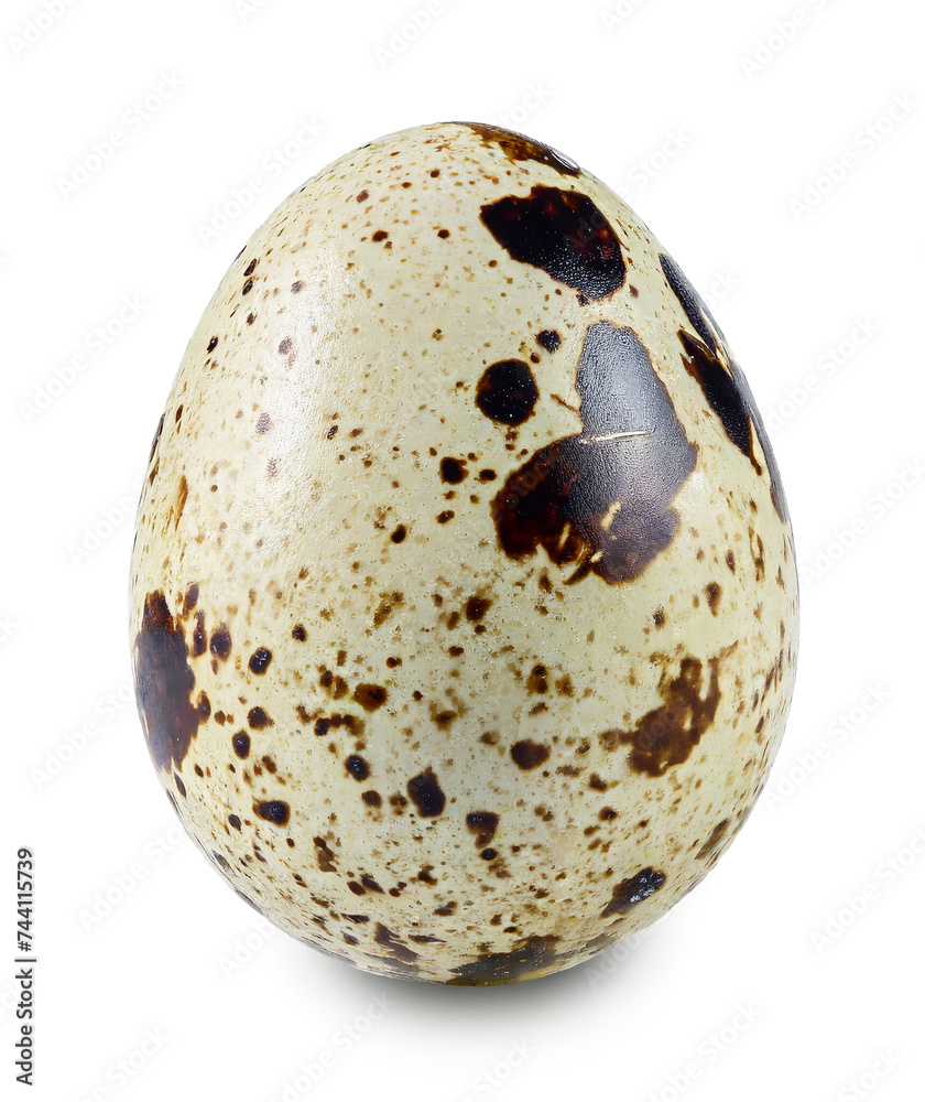 Quail egg isolated on white background. Quail egg isolated on white background.