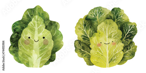 ute smiling lettuce watercolor vector illustration 