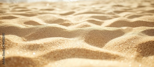 The image showcases a sandy beach completely covered in an abundant layer of sand.