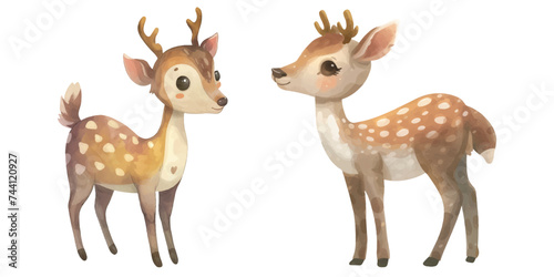 ute deer watercolour vector illustration