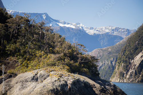 snowy mountain in the background of mild ford sound