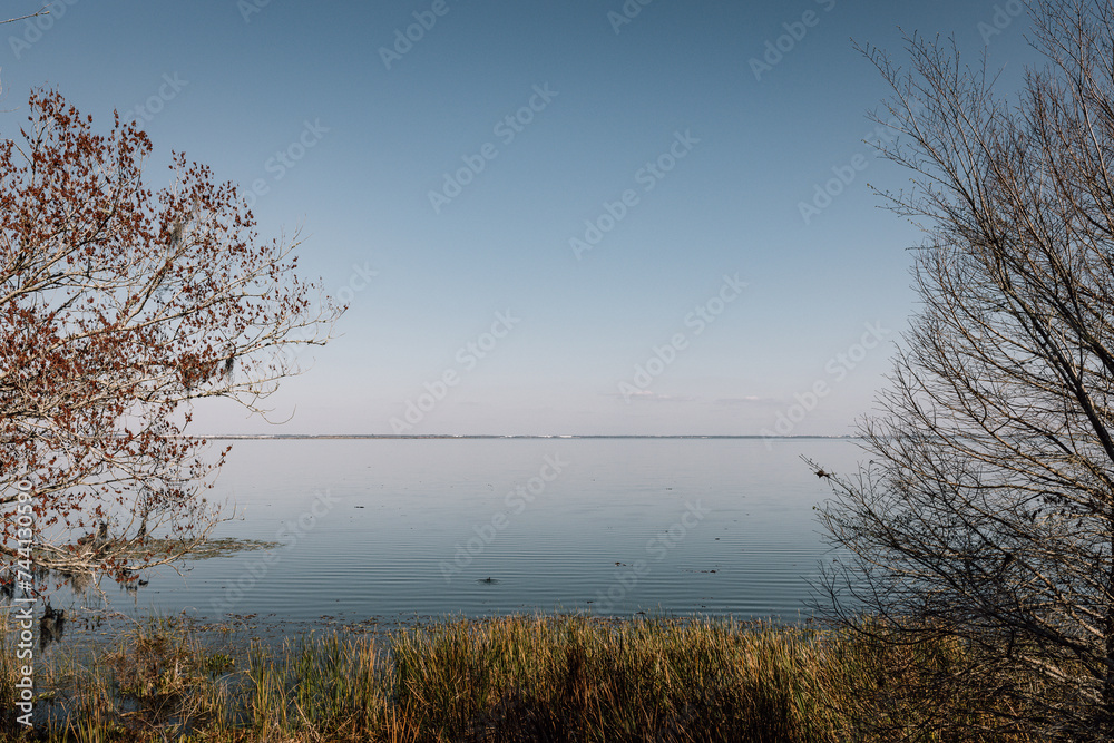 A winter's day at Lake Apopka in Florida