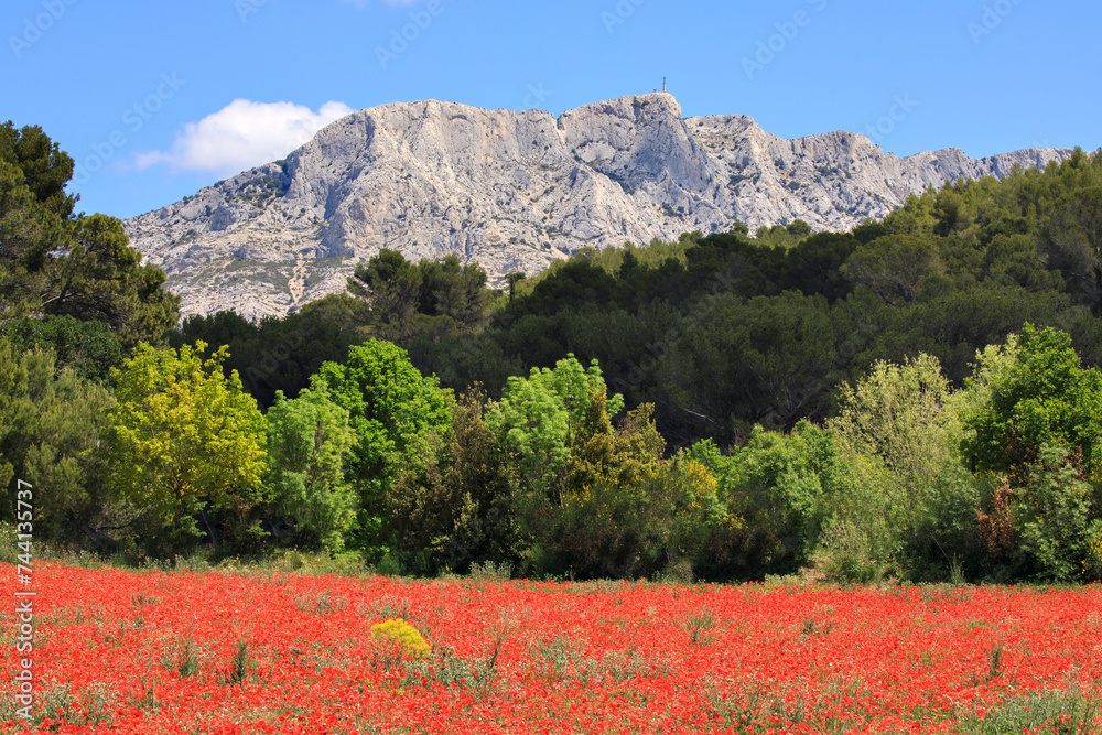 Montagne Sainte-Victoire, Provence-Alpes-Côte d'Azur, France