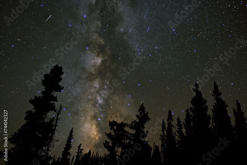 A shooting star streaks across the Milky Way with a backdrop of silhouetted pine trees under a starry night sky.