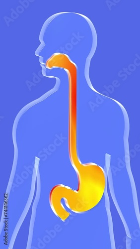 3d animation of stomach and esophagus to the mouth with indigestion. Showing the digestive system in transparent glass relief on human silhouette on blue background.