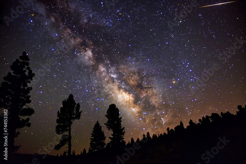 A shooting star streaks across the Milky Way with a backdrop of silhouetted pine trees under a starry night sky.