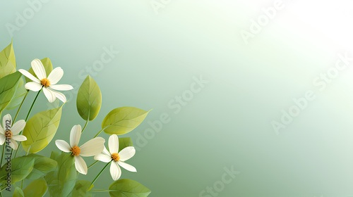 White daisy flower with soft focus and bokeh background