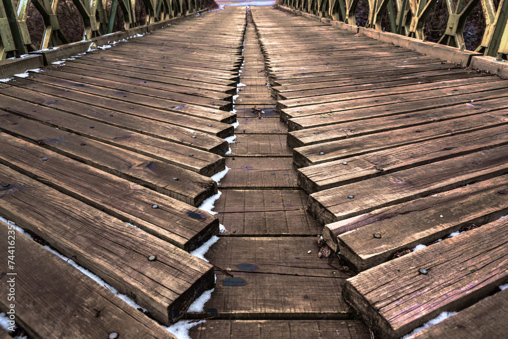 Fototapeta premium wooden bridge in the forest