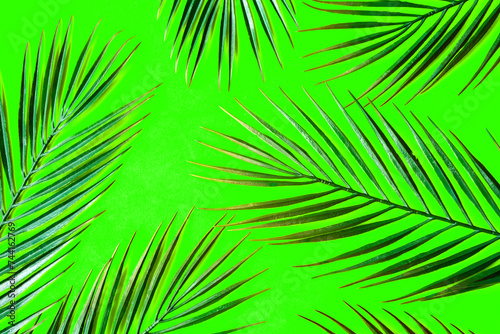 palm leafs pattern on bright green background