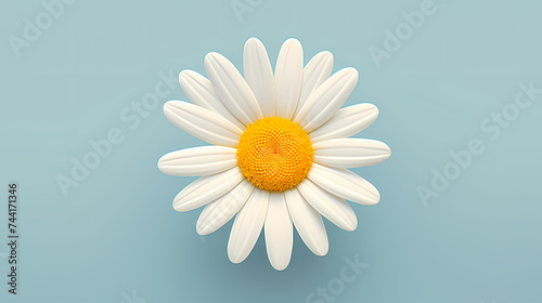 Daisy flower background, ecology and healthy environment concept