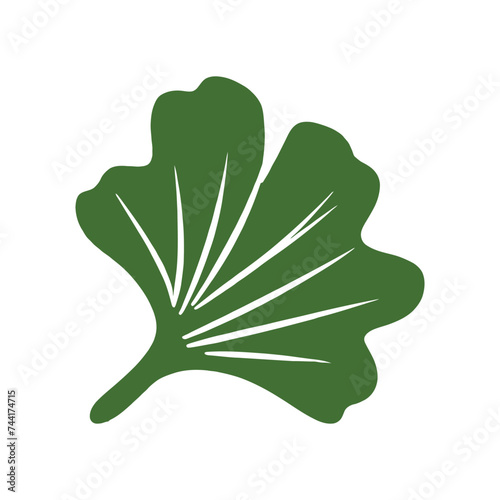 Flat green ginkgo biloba leaf isolated on white. Nature eco icon. Vector illustration. Leaflet organic icon. Cosmetics and medical plant icon
