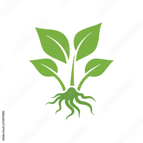 Green sprouts  leaves. Icon isolated on a white background. Logo for eco company, agriculture, nature firm, ecology, healthy organic and farm fresh food. Vector illustration.
