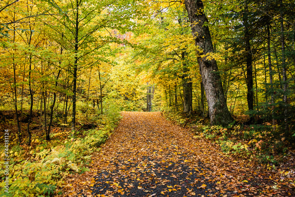 Fototapeta premium Mauricie, Canada - Oct 08 2022: Picture show the view in the Mauricie national park in colorful autumn