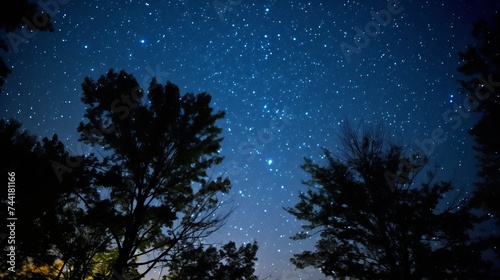 Stars at night with backlit trees