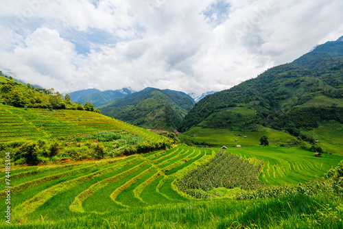 Rice terraces in northern Vietnam