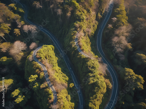 Winding asphalt road in sunny winter morning from above - generated by ai © CarlosAlberto