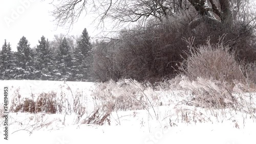 Blowing snowfall
