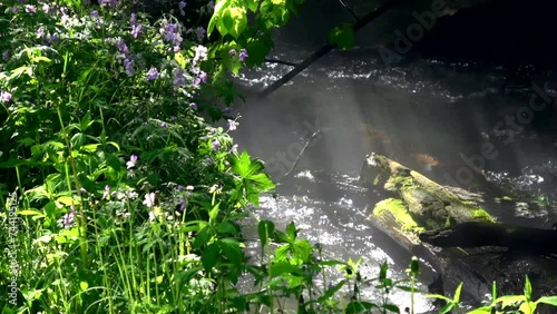 Twin Springs Decorah Iowa