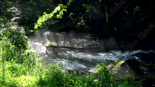 Twin Springs Decorah Iowa