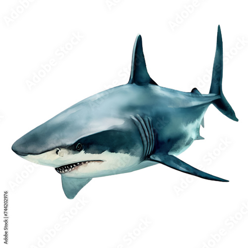  Illustration d un Requin - Style Aquarelle R  aliste - Fond Blanc - G  n  r   par IA