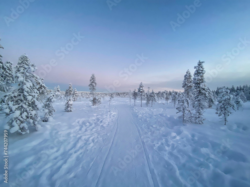 Snowy winter forest landscape on a sunset sky in winter in Rovaniemi, Finnish Lapland