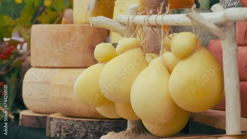 Traditional cheese on the food market. Craft food festival. Assortment of craft cheese on the counter during the fair