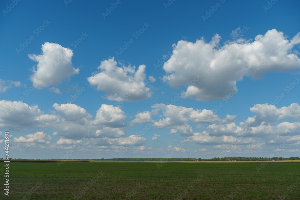 A beautiful rural field against a background of blue sky and clouds. Agro-industrial complex for the cultivation of cereals, wheat, legumes, barley, beans. A beautiful rural field against a background of blue sky and clouds. Agro-industrial complex for the cultivation of cereals, wheat, legumes, barley, beans.