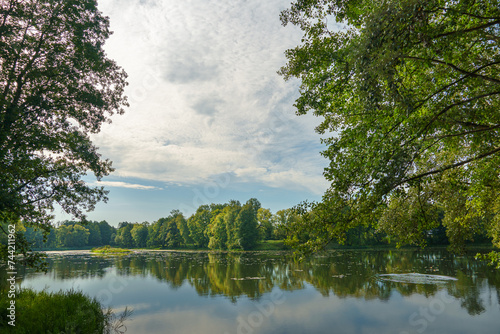 View of the lake among the lush green trees in the forest. Trees grow along the river and are reflected in the clear water. Natural landscape in the forest. River in the forest. uncontaminated nature