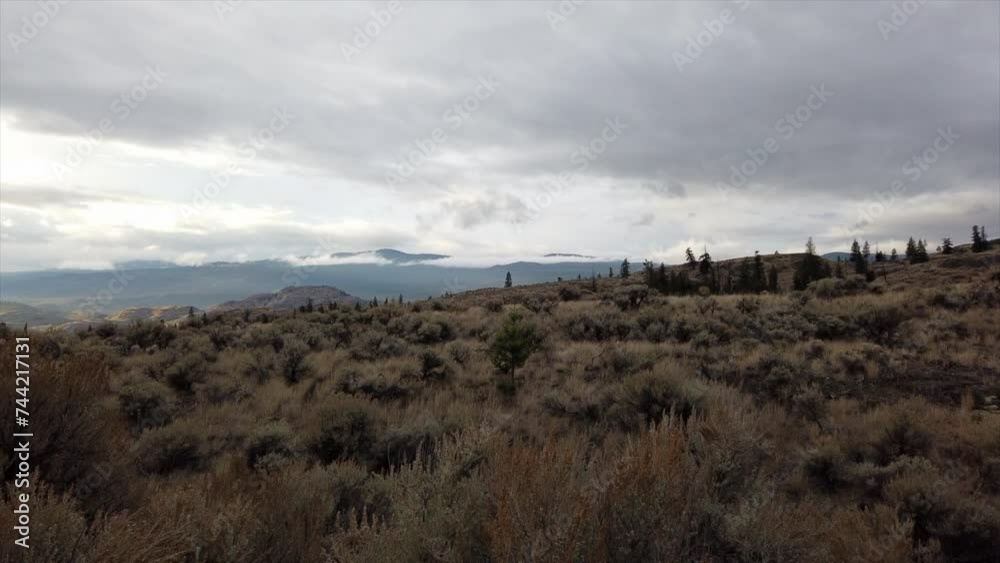 Where Earth Meets Sky: The Vast Meadows of Kamloops Where Earth Meets Sky: The Vast Meadows of Kamloops