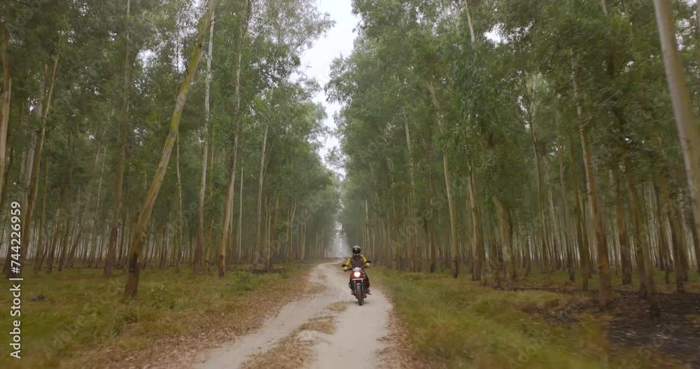 Heroic Drone shot captures a male riding motorbike inside the dense forest of Terai region Nepal. Like crime scene adventurous nature exploration landscape 4K Heroic Drone shot captures a male riding motorbike inside the dense forest of Terai region Nepal. Like crime scene adventurous nature exploration landscape 4K