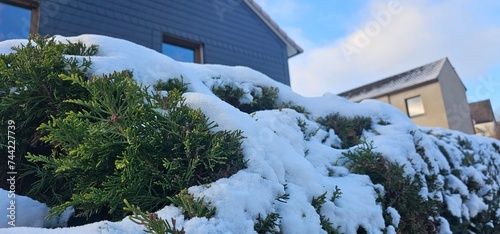 snow on hegde. photo