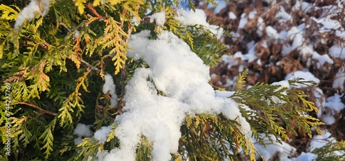 snow on hegde. photo