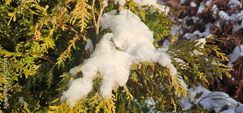 snow on hegde. photo