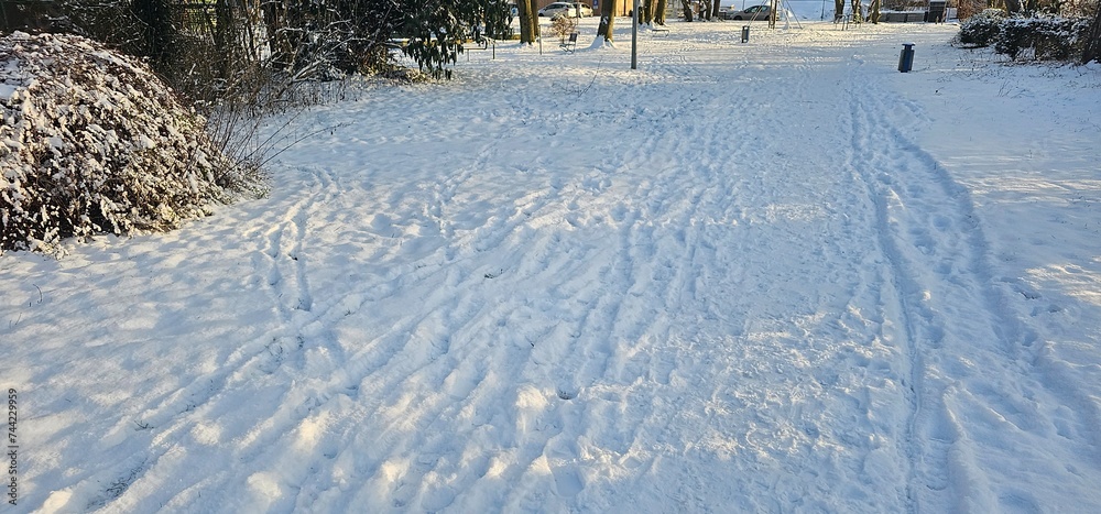 snow on a field.