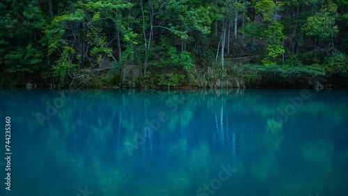 Tranquil landscape featuring a pool of shimmering blue water surrounded by lush green trees © Wirestock