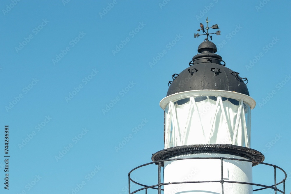 Black small bird perched on the metallic structure of an iconic lighthouse against a blue sky