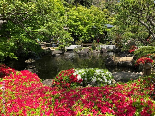 a bridge leads over a stream with red and white flowers