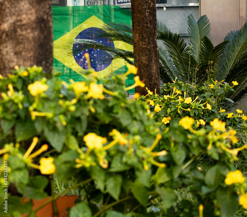 Flores e plantas verde e amarelas na rua