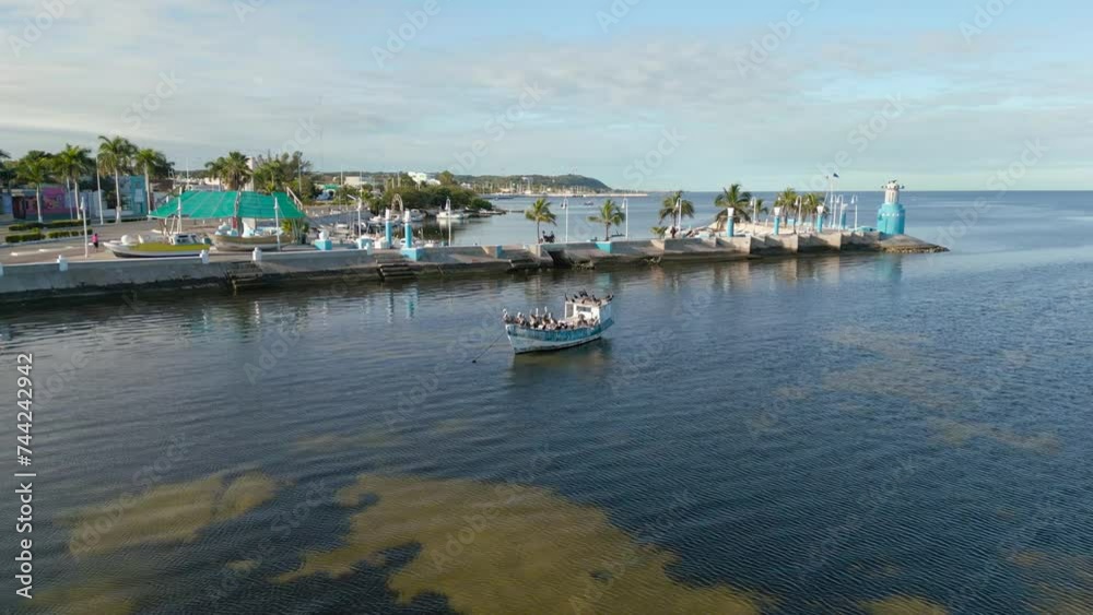 Pelicans sit huddled together in a boat in a mexican city Campeche Pelicans sit huddled together in a boat in a mexican city Campeche