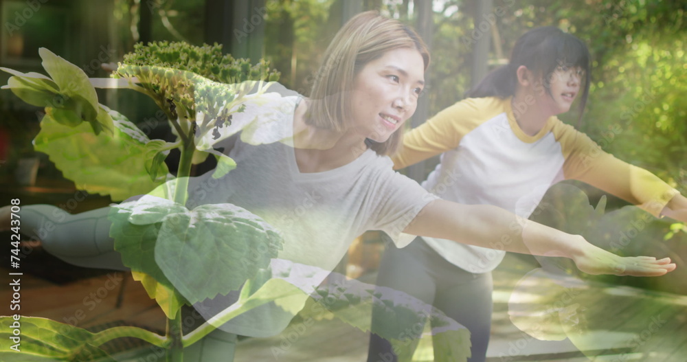 Obraz premium Composite of two happy asian women practicing yoga outdoors, and sunlight on plants