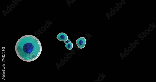 Image of micro of blue and turquoise cells on black background