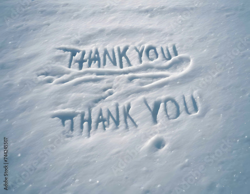  "THANK YOU" inscribed on the snow. 