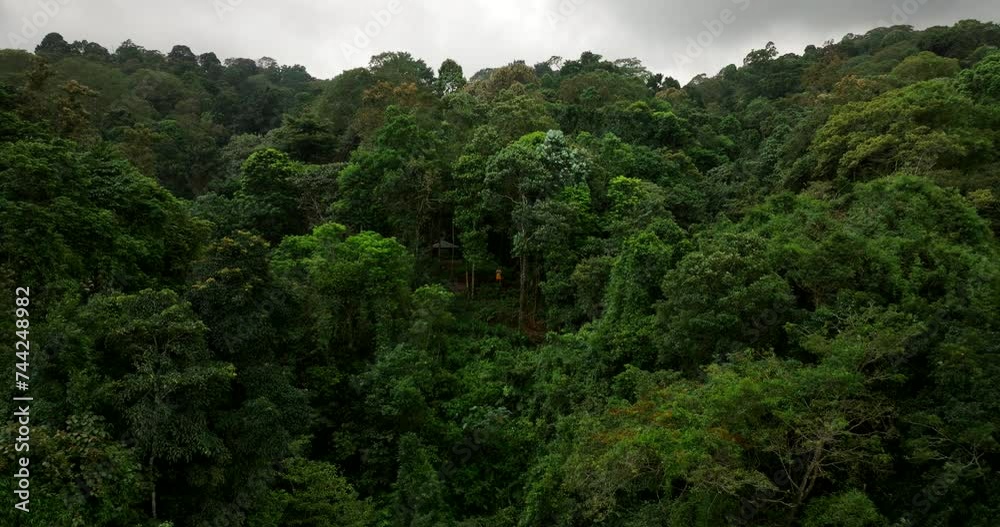 Drone flying towards isolated person in wild jungle. Aerial forward Drone flying towards isolated person in wild jungle. Aerial forward
